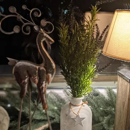 Hotel Rheinauer Hof -