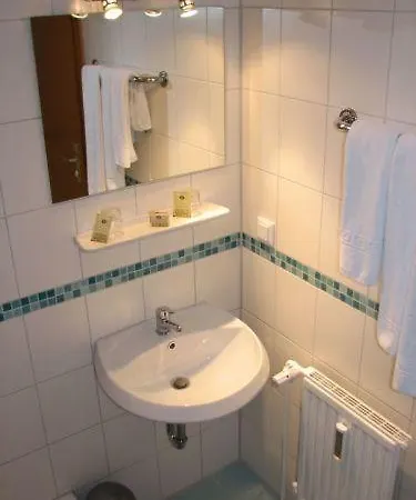 Hotel Rheinauer Hof -