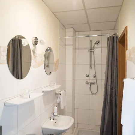 Hotel Rheinauer Hof - Mannheim