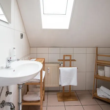 Hotel Rheinauer Hof - 3*