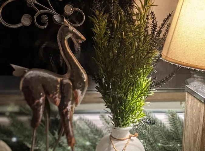 Отель Rheinauer Hof -