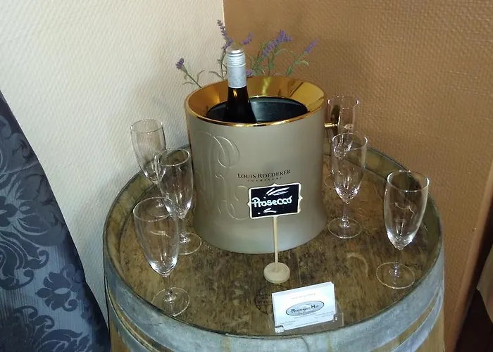 Rheinauer Hof - 酒店 3*