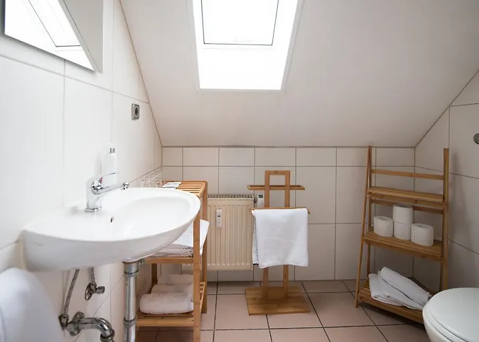 Отель Rheinauer Hof - 3*